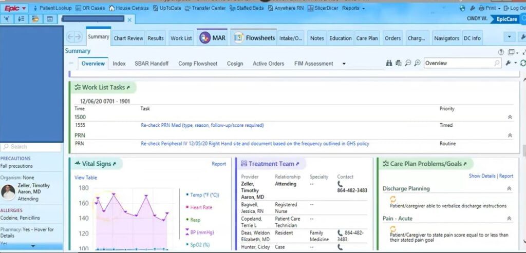 Epic Healthcare Software patient summary screenshot