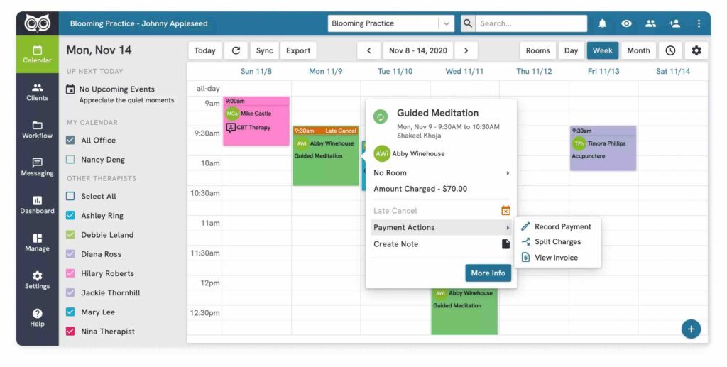 Owl review showing the tool's appointment calendar